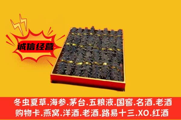 大田县回收海参